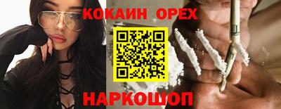 гашик Донской