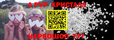 гашик Донской