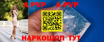 гашик Донской