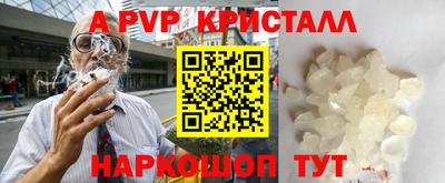 гашик Донской
