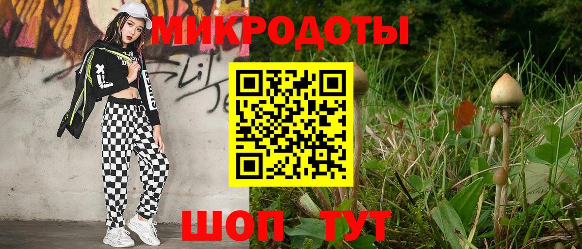 Псилоцибиновые грибы Psilocybe  Вход с VPN  Малгобек 