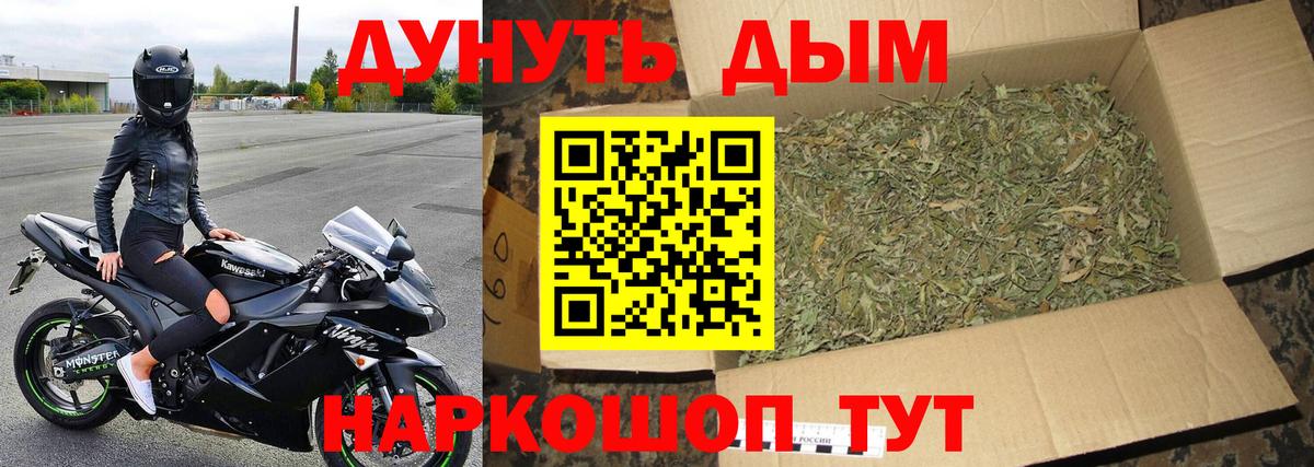 Марихуана план  Вход с VPN  Шишки марихуана Ganja  Малгобек  Бошки Шишки SATIVA & INDICA  Каннабис семена 
